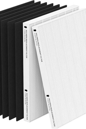 2 Pack Replacement Filter for Fellowes AeraMax 290/300/DX95 Purifiers and HF-300/AP-300PH, Fits Part# 9287201 & 9324201, 2 Filter and 6 Carbon Filter