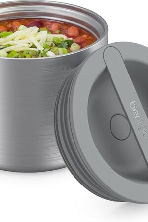 Bentgo Stainless Insulated Food Container - 2.4 Cups (19 oz), Triple-Layer Insulation, Vacuum Seal, Leak-Proof, Built-In Handle, Wide Opening, Premium Stainless Steel, for Cool/Warm Foods (Steel)