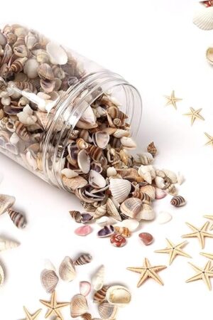 1200 Pieces Tiny Sea Shells Small Natural Starfish Mixed Ocean Beach Spiral Seashells for Home Decorations,Wedding Decor,Candle Making,Beach Theme Party,DIY Crafts and Vase Filler