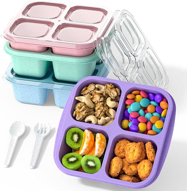 Bento Snack Containers(4 Pack), 4-Compartment Meal Prep Containers Reusable, Snackle Box Container for Kids and Adults,Divided Lunchable Container Food Storage Containers for School, Work, Travel