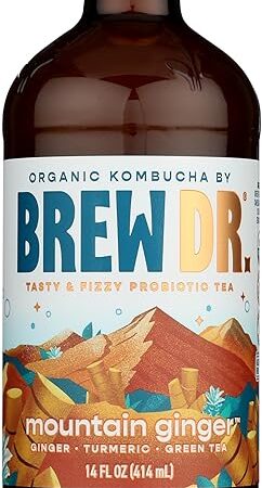 BREW DR Ginger Turmeric Kombucha, 14 FZ