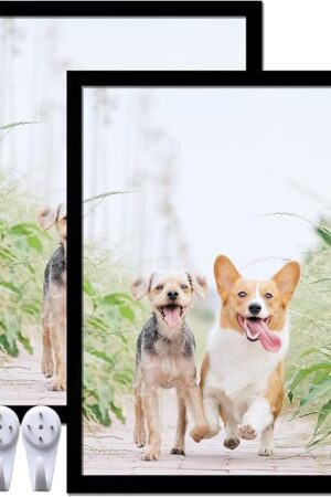 16x24 Picture Frame Set of 2, Black Photo Frames High Transparent Wall Gallery Desktop Horizontal Vertical for Canvas Collage Photo Poster Certificate 16 x 24 inches