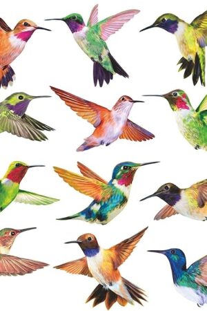 Anti-Collision Window Clings Bird Alert Collision Decals to Prevent Bird Strikes on Window Glass - Set of 12 Hummingbirds