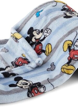 Disney Characters Flannel Fleece Baby Blanket - Soft & Cozy 30x40 Inches, Featuring Mickey Mouse, Minnie Mouse, Winnie The Pooh, and Dumbo