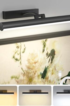 Bridika Picture Lights for Wall Battery Operated with Remote, 3 Color Modes and Dimmable Rechargeable Art Lights for Paintings, Gallery, Bedroom, Bathroom with Timer Black 1