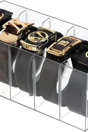 Acrylic Belt Organizer, Belt Storage Holder Purse Organizer for Closet, 5 Compartments Clear Plastic Display Case Pantry Kitchen Cabinet Organizers and Storage Seasoning Organizer