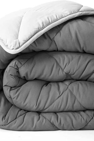 ViscoSoft Breathable Down Alternative Quilted Comforter, All Seasons Reversible