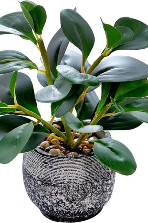 AlphaAcc Artificial Plants Potted Real Looking Small Faux Plant with Rustic Black Cement Planter for Kitchen Office Desk Bookshelf Decor (Ficus Plant)