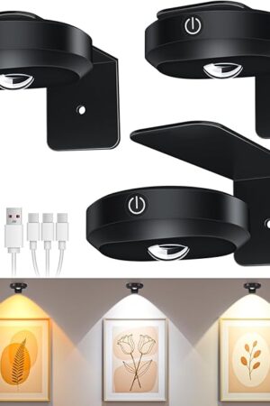WILLED Picture Lights Picture Frame lights Puck Lights 3 Pack