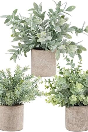 Der Rose 3 Pack Mini Potted Fake Plants Artificial Plastic Eucalyptus Plants Topiaries for Home Office Desk Farmhouse Room Bathroom Decor