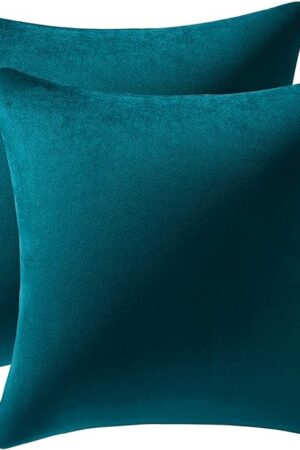 DEZENE Throw Pillow Cases 18x18 Teal: 2 Pack Cozy Soft Velvet Square Decorative Pillow Covers for Farmhouse Home Decor