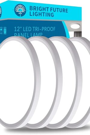 4pack 12 Inch Flush Mount Ceiling Light, 24w Led Ceiling Light, 3000k/4000k/6000k Selectable 2520lm Ceiling Lights, Super Slim Led Light Fixture for Bedroom Kitchen Living Dining Room Office (White)