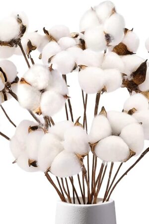 DomeStar Cotton Stems 8 Packs with 15 Bolls, Natural Dried Flowers Cotton Sprigs for Vase Fillers and Floral Arrangements - Fall Decorations and DIY Crafts