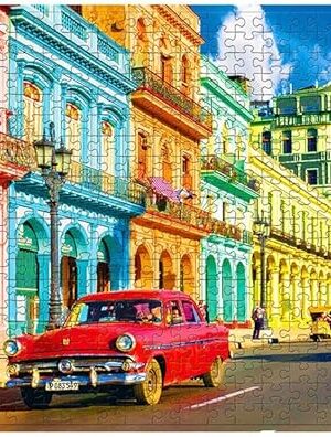 The Puzzle Game 500 Piece Puzzles for Adults Jigsaw Puzzles Personalized Gift for Men Boys Large Puzzles for Adults Great Mother forRoom Decor Relaxation forfor Women Sensory Toys (B)