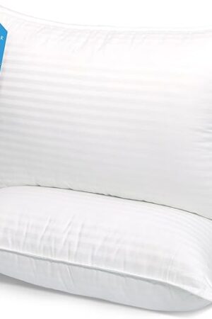 COZSINOOR Bed Pillows for Sleeping Queen Size - Hotel Quality Set of 2 - Breathable Down Alternative Microfiber Filled for Back, Stomach, Side Sleepers, Cooling & Skin-Friendly