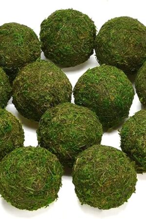 BYHER Natural Green Moss Decorative Ball,Handmade (3.5"-Set of 6)