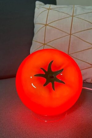 Cute Table Lamp for Bedroom Kitchen Living Room Small Cute Night Light Fruit Bedside Side Table Lamp Kawaii Decor Vintage Funky Home Decor for Girls Room (Tomato)