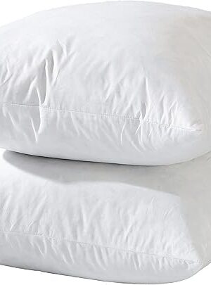 20x20 Decorative Throw Pillow Inserts-Down Feather Pillow Inserts-Square-Cotton Fabric-Set of 2-White.