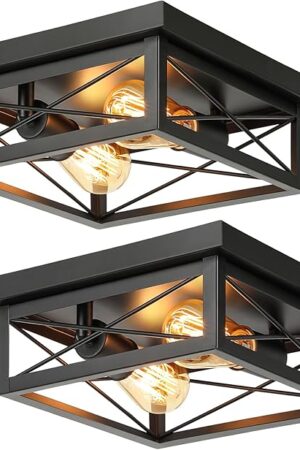 2-Light Industrial Square Flush Mount Ceiling Light Farmhouse Modern Black