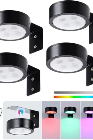 4-Pack Wireless Battery Operated Painting Light with Remote Control,13 Color RGB Magnetic Led Art Display Light for Picture Frame, Dimmable and Timer Painting Light, Wall Decor Black display light