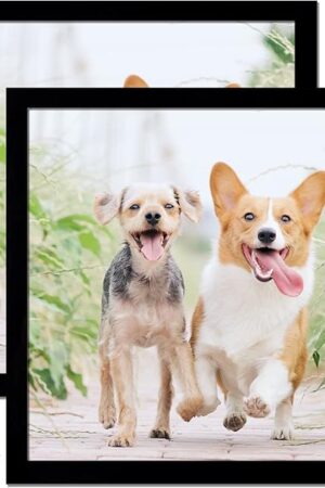 12x12 Picture Frame Set of 2, Black Square Photo Frames High Transparent Wall Gallery Desktop Horizontal Vertical for Canvas Collage Photo Poster Certificate 12 x 12 inches