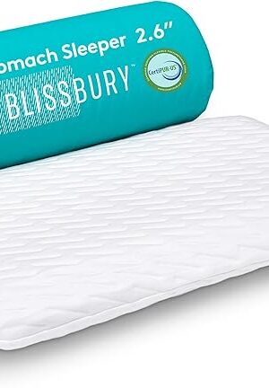 BLISSBURY Stomach Sleeping Pillow – Ultra Thin 2.6" Memory Foam for Neck and Cervical Support | Flat Pillow for Belly Sleeper | Low Loft Design for Comfort and Better Sleep