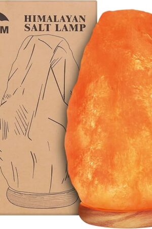 WBM Himalayan Salt Lamp Salt Lamp