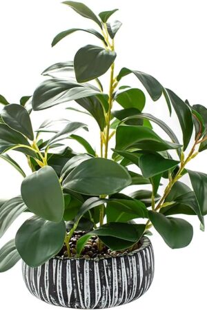 AlphaAcc Artificial Plants Decor Greenery Fake Succulents Indoor Potted Fake Plant with Rustic Black Clay Planter for Farmhouse Room Bathroom Bedroom Kitchen Office Table Desk Decor