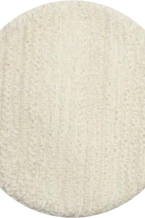 Bissell BigGreen Commercial 437.053BG Carpet Bonnet for BGEM9000 Easy Motion Floor Machine, 12"