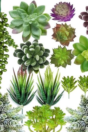 Anoak Artificial Succulent Plants - 16 Pcs Set Faux Succulents Unpotted Fake Succulent Plants, Premium Crafting DIY Floral Decor for Home Garden Office Party (High Realistic)