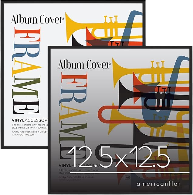 Americanflat 12.5x12.5 Album Frame with Plexiglass - Set of 2 - Record Album Frame for Vinyl LP Covers or Vinyl Records - Brooklyn Portrait Collection - Aluminum Record Frames for Wall - Black