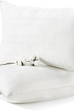 Bedsure Fluffy Bed Pillows for Sleeping - Luxury Queen Size Pillows Set of 2 with 100% Cotton Breathable Cover, Soft & Supportive Hotel Quality Filling for Side, Stomach, Back Sleeper