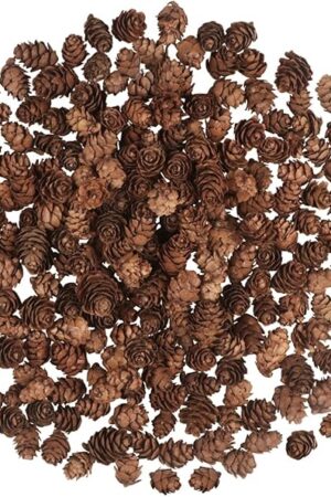 200PCS Christmas Natural Pine Cones Mini Fall Decorations Pinecones Ornaments Bulk Small Pine Cones for DIY Crafts Thanksgiving Fall Winter Christmas Wedding Decor Vase Filler Decor