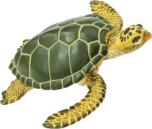 The Safari Ltd. Green Sea Turtle Figurine - Detailed 3.58" Plastic Model Figure - Fun Educational Play Toy for Boys, Girls & Kids Ages 3+
