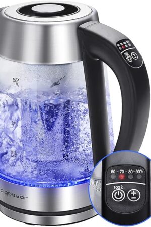 Aigostar Electric Kettle, Tea Kettle with Temperature Control and Tea Infuser, 1500W Hot Water Kettle with Variable Temperature, Keep Warm Function, LED Indicator Light Change, Auto Shut-Off, 1.7L