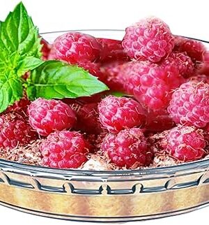 1 Pack Round Glass Pie Pans for Baking Round Baking Dishes with Handles for Apple Pie Pumpkin Pie Salads (Clear 7in)