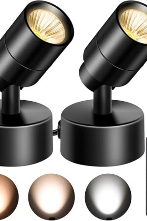 2 Pack Dimmable Indoor Spot Lights with Timer & Remote, 3W LED Up Lights, 3000K/4000K/5000K Adjustable, Ideal Indoor Accent & Plant Spotlight