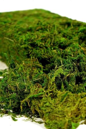 Artificial Moss, 16OZ Fake Moss for Crafts, Decorative Centerpieces, Fairy Garden, Wedding Party Decor, Faux Potted Plants, 455gr (Fresh Green)