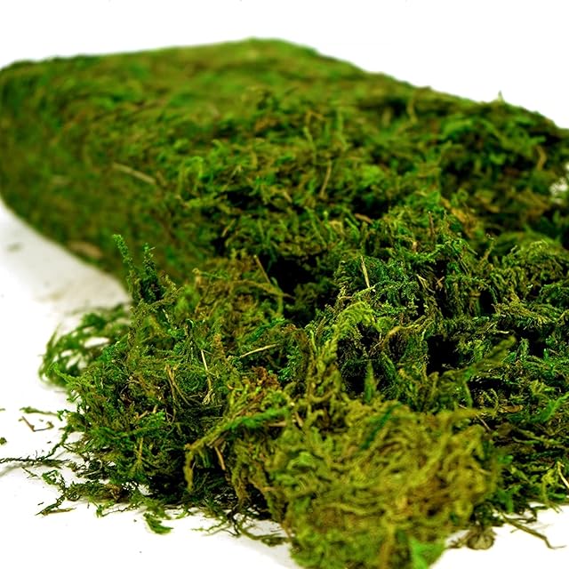 Artificial Moss, 16OZ Fake Moss for Crafts, Decorative Centerpieces, Fairy Garden, Wedding Party Decor, Faux Potted Plants, 455gr (Fresh Green)