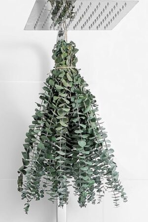 10 Pcs Dried Eucalyptus Stems 17" Real Eucalyptus for Shower Hanging 100% Made from Fresh Leaves, Wedding, Home, Farmhouse, DIY Spring Decor Bathroom Decor Home Decor