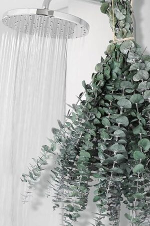 12 PCS Dried Eucalyptus Stems for Shower - 17" Preserved Eucalyptus Stems Shower Plant, Fresh Real Eucalyptus Leaves for Shower Hanging, Home Decor, Dried Flowers