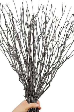 30Pcs Real Dried Birch Twigs - 17? Decorative 100% Natural Birch Branches for Easter Vases, Curly Willow Branches, DIY, Floral Arrangement, Twig Wreath, Centerpiece, Rustic Home Decor