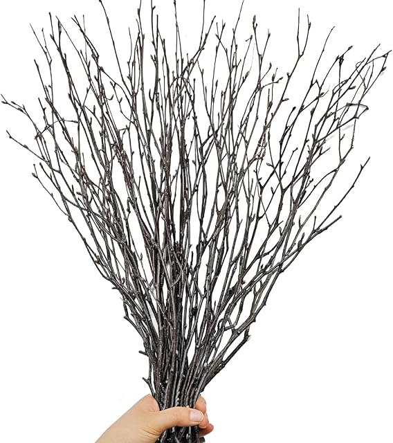30Pcs Real Dried Birch Twigs - 17? Decorative 100% Natural Birch Branches for Easter Vases, Curly Willow Branches, DIY, Floral Arrangement, Twig Wreath, Centerpiece, Rustic Home Decor