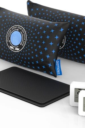 500g × 2 [2.2 lb] Rechargeable Car Dehumidifier Bag, Microwave Fast Reactivation Large Desiccant Packs for Storage Gun Safe Car Bathroom, Silica Gel Moisture Absorber for Camera and Valuables