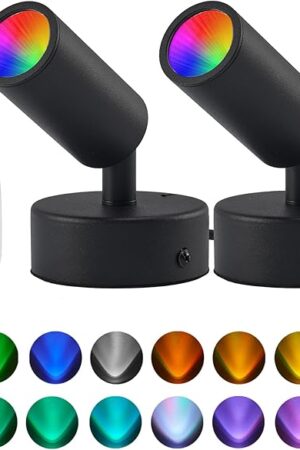 2 Pack LED Spot Lights Indoor Spot Lights Indoor Accent Lighting, RGBW Color Changing Up Lights Indoor Remote Control Plant Spotlight Decorative Lights (Black)