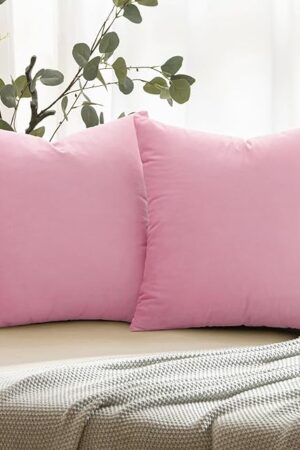 ANRODUO Pack of 2 Velvet Baby Pink Throw Pillows Spring Decorative Pillow Covers Euro Cushion Case Soft Solid Square Cozy Modern Home Decor Pillowcase for Sofa Couch Bed and Living Room 18x18 Inch