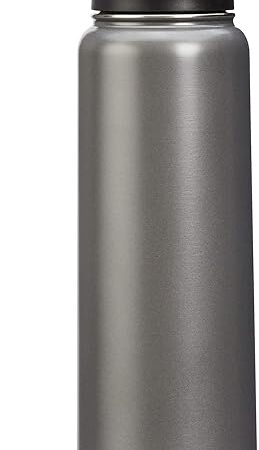 Amazon Basics Large Stainless Steel Insulated Water Bottle, Spout Lid, 30.1 ounces, Gray