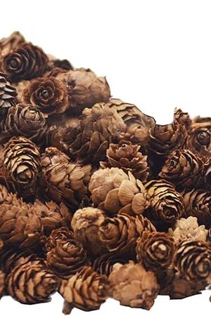 Deloky 150 Pcs Christmas Natural Mini Pine Cones- 2CM Thanksgiving Small Pinecones Ornaments Vase Fillers for DIY Crafts, Home Decorations, Fall and Christmas, Wedding Decor
