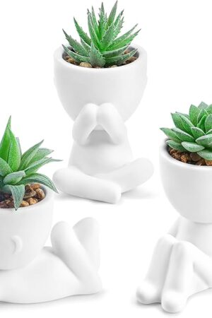 Der Rose 3 Pack Fake Plants Artificial Succulents Plants for Room Bathroom Home Office Desk Accessories Decor for Women