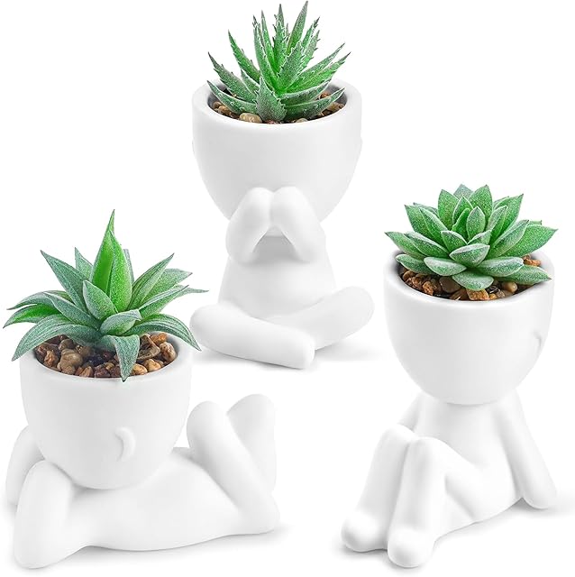Der Rose 3 Pack Fake Plants Artificial Succulents Plants for Room Bathroom Home Office Desk Accessories Decor for Women